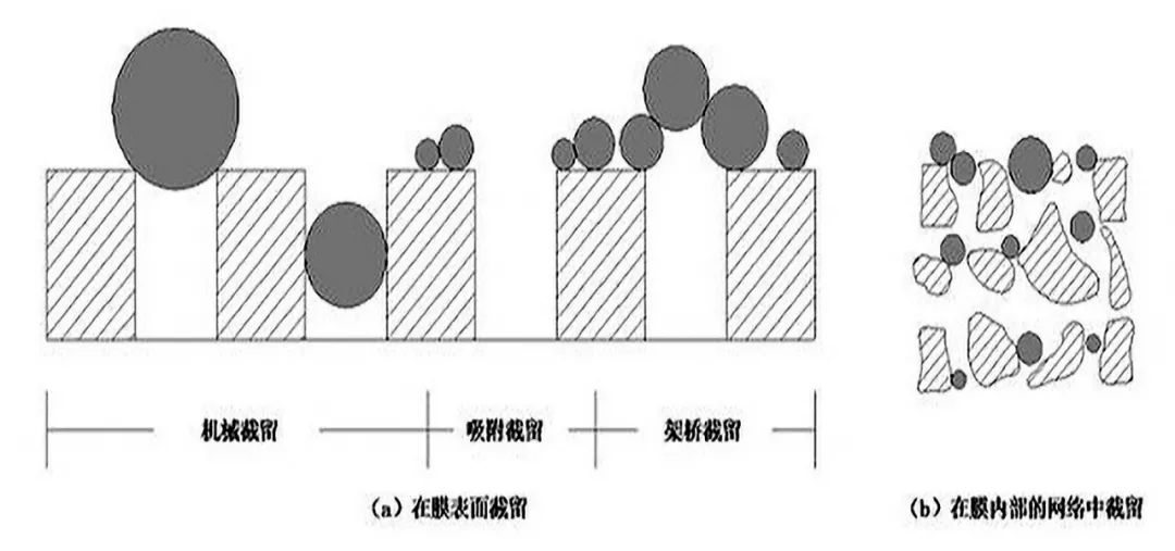 微滤技术原理