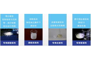 膜与膜分离的由来